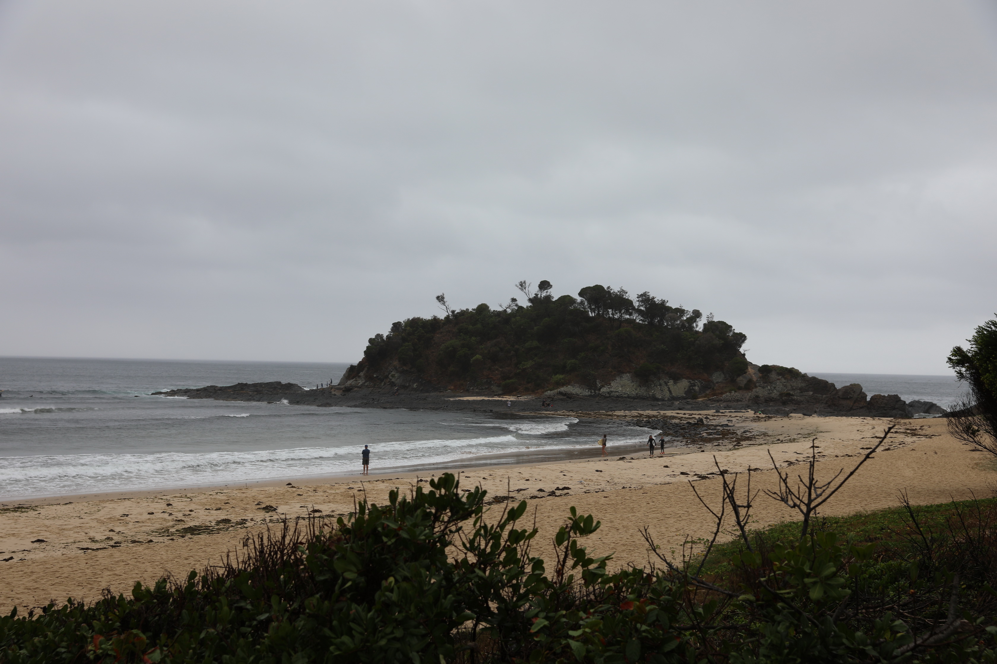 2020 01 11 13 29 46 Canon EOS 5D Mark IV 0002